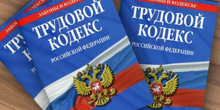 Поправки в Трудовой кодекс и наши действия